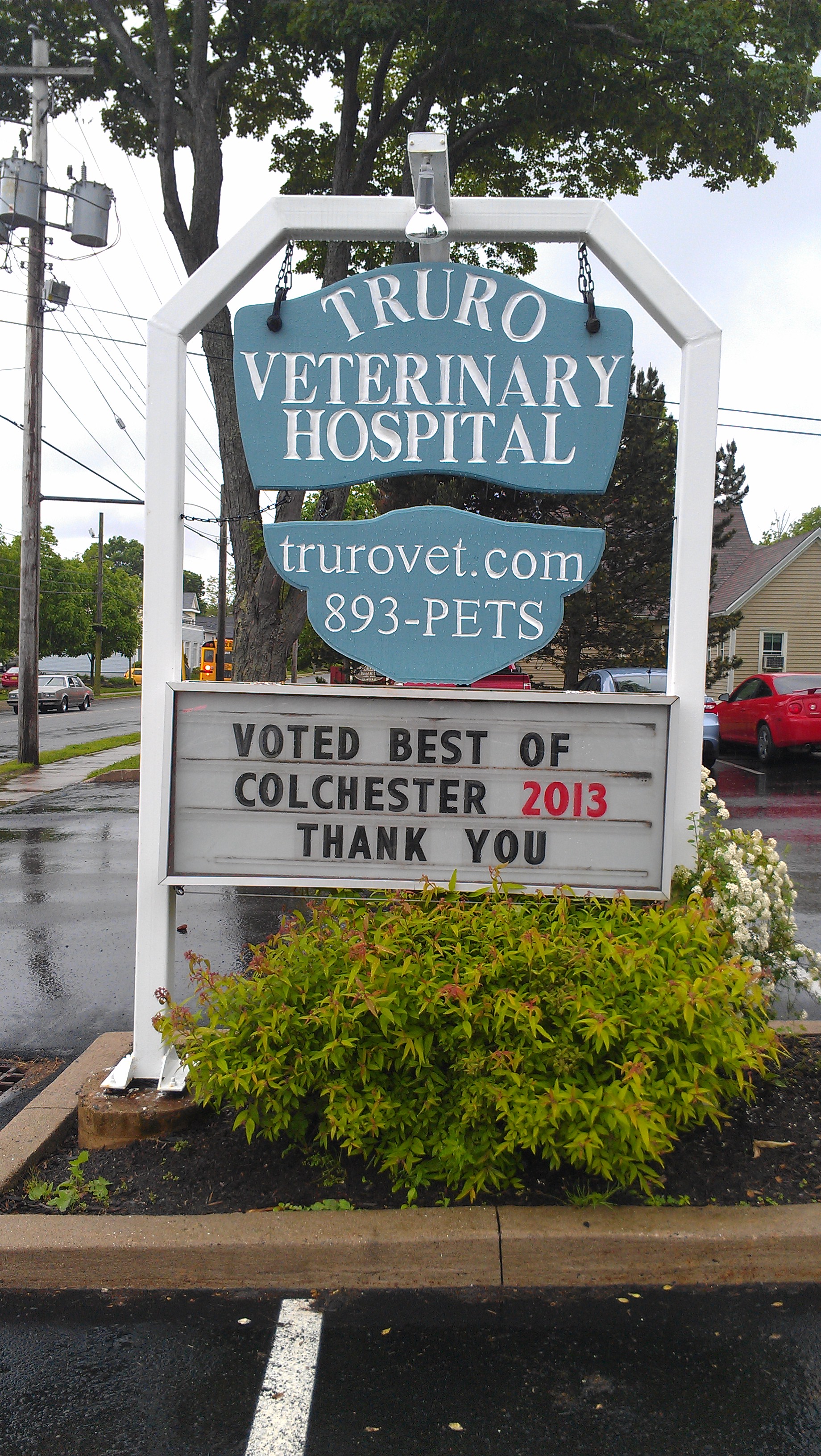 Celebratory Sign