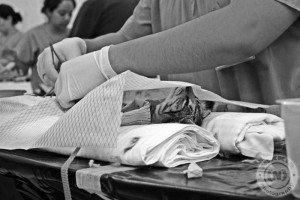 surgery in Mexico