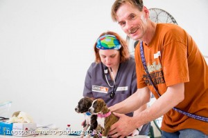 Puppy induction
