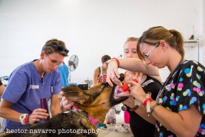 Intubation