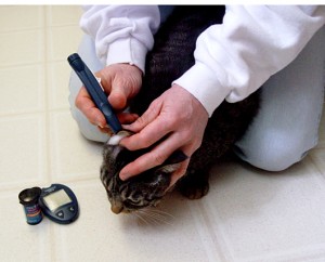 glucose testing