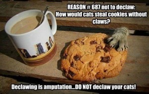 Cookie Monster