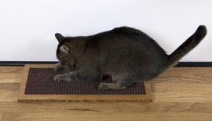 Horizontal post