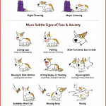 post-23567-body-language-of-fear-in-dogs-i8M0