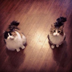 Miss B on the Left and Little Man on the right.
