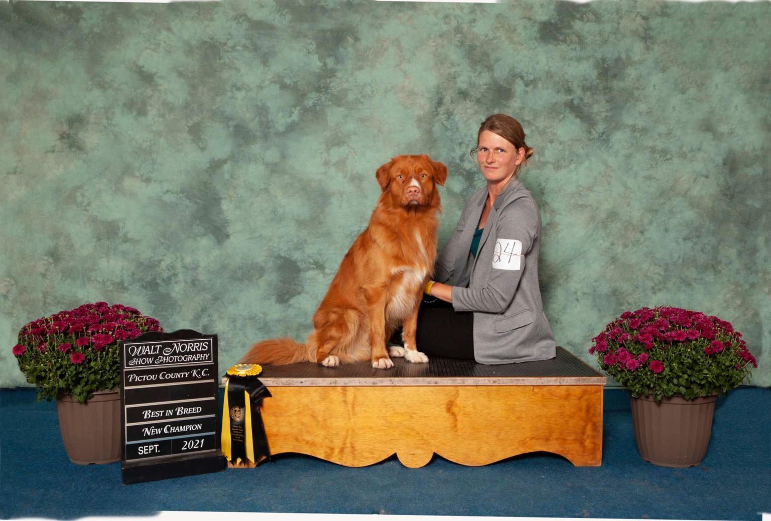 Our Care Team Truro Vet