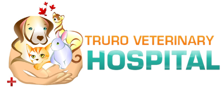 Truro Vet