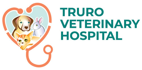 Truro Vet